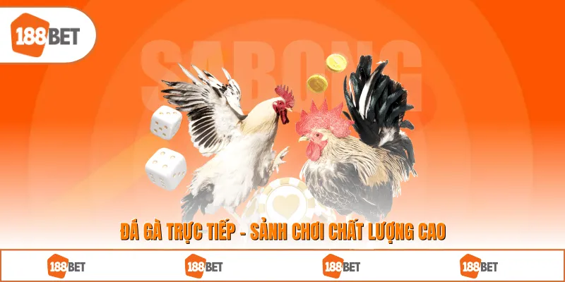Đá Gà Trực Tiếp - Sảnh Chơi Chất Lượng Cao